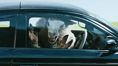 bild aus der news Horror-Kult wird nach 20 Jahren wirklich fortgesetzt: Im Trailer zu "Black Sheeps" richten Zombie-Schafe ein Blutbad an
