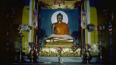 bild aus der news Vom Hippie zum Lama: Exklusiver deutscher Trailer zur spirituellen Doku "Meeting The Buddha"