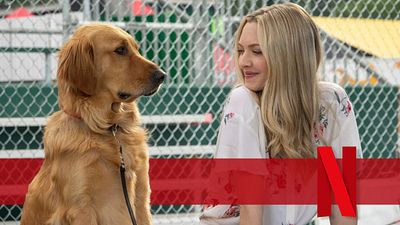 bild aus der news Neu auf Netflix: In dieser Bestseller-Verfilmung spielt Kevin Costner einen Hund, der unbedingt ein Rennfahrer sein möchte