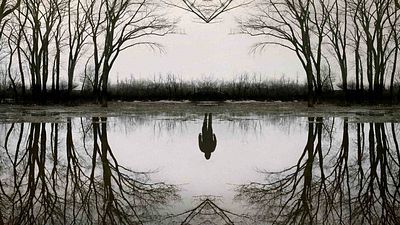 bild aus der news Trotz herausragender Bewertungen: Diese Stephen-King-Adaption ist schon fünf Jahre später in Vergessenheit geraten!