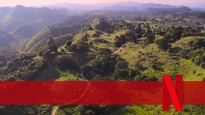 bild aus der news Über 1,13 Millionen Zuschauer allein in Deutschland: Endlich könnt ihr diesen Abenteuerfilm-Erfolg auch bei Netflix streamen