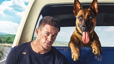 Heute zum ersten Mal im TV: Dieses mitreißende Roadmovie mit Channing Tatum wurde zu einem Überraschungshit!