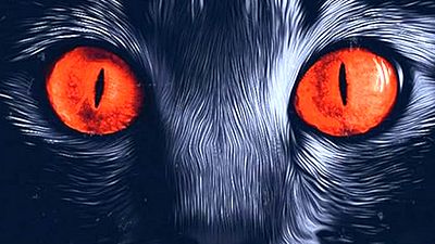 bild aus der news Highlight für Horror-Fans: Beliebte Stephen-King-Verfilmung kehrt in die Heimkinos zurück – erstmals in 4K!