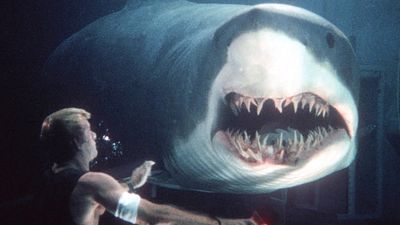 bild aus der news Mehr als 20 Jahre nach "Deep Blue Sea": Kultregisseur dreht mit "Deep Water" wieder einen Hai-Horrorfilm