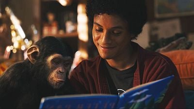 bild aus der news Nach dem Ende von "Michael": So ist es für Michael Jacksons Schimpansen Bubbles im wahren Leben weitergegangen!