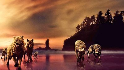 bild aus der news Heute im TV: Das epische Finale einer der erfolgreichsten Fantasy-Reihen überhaupt – 4 Stunden düsteres Bombast-Kino