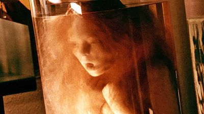 bild aus der news Die beste Horror-Serie aller Zeiten erscheint zum ersten Mal komplett auf DVD & Blu-ray