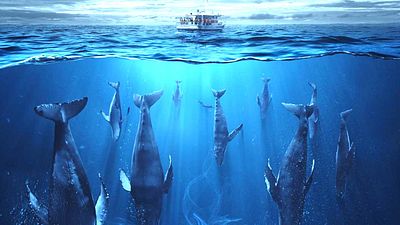 bild aus der news "Beziehungskisten-TV": Das hält Frank Schätzing von der Sci-Fi-Serien-Adaption seines Bestsellers "Der Schwarm"