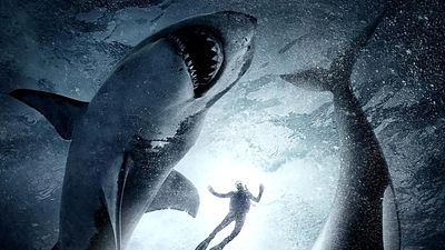 bild aus der news Weißer Hai vs. Killerwal: Endlich kommt der abgefahrene Tier-Actionfilm, auf den wir seit Jahren warten