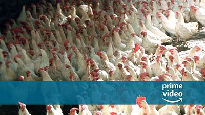 bild aus der news Völlig kostenlos bei Amazon Prime Video streamen: Dieser Kultfilm geht heftig an die Nieren – und ihr solltet ihn trotzdem schauen