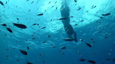 bild aus der news TV-Tipp: Heute Abend läuft einer der besten Abenteuerfilme aller Zeiten