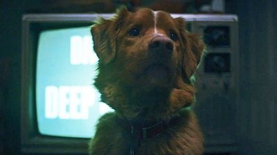 bild aus der news So einen Horrorfilm habt garaniert ihr noch nie gesehen: Er spielte das 100-Fache (!) seines Budgets sein – jetzt kommt er ins Heimkino!