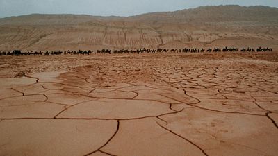 bild aus der news Heute Abend streamen: "Tiger & Dragon"