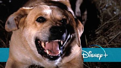 bild aus der news Dieser Disney-Film hat Generationen verstört, ist bei uns aber völlig unbekannt - ein Streaming-Tipp!