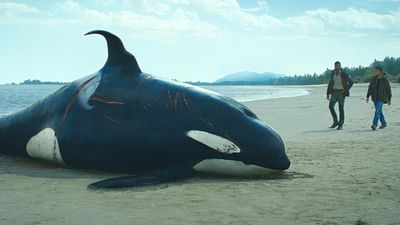 bild aus der news Riesige Eiswürmer und aggressive Wale: So realistisch ist die Sci-Fi-Serie "Der Schwarm"