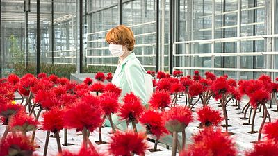 bild aus der news Heute im TV: Dieser Sci-Fi-Thriller von 2020 ging im Kino völlig unter!