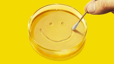 bild aus der news Die neue Serie des "Breaking Bad"-Masterminds: Langer Trailer zum Sci-Fi-Drama "Pluribus"