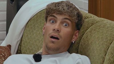 bild aus der news "Sommerhaus der Stars"-Exit rettet Hundeleben: "Sofort gemerkt, dass etwas nicht stimmt"