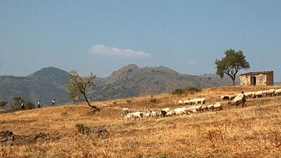 bild aus der news Das ist der beste amerikanische Film aller Zeiten – laut Regie-Legende Steven Spielberg