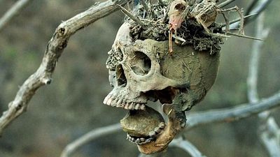 bild aus der news "Hütet euch vor dem letzten Akt": Sogar Stephen King war von diesem gnadenlosen Horror-Western überrascht