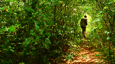 bild aus der news Neu im Heimkino: Nach diesem fiesen Horror-Thriller werdet ihr eure Urlaubspläne noch einmal überdenken!