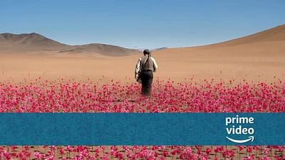 bild aus der news Heute startet bei Prime Video die Verfilmung eines Buches, das sich millionenfach verkauft hat und in 40 Sprachen übersetzt wurde