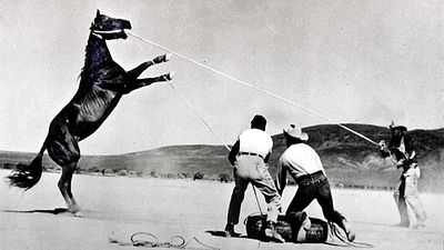 bild aus der news Mit diesem Western-Meisterwerk verabschiedeten sich gleich zwei (!) Hollywood-Ikonen von der Leinwand