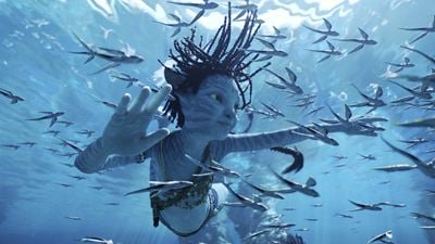 "Avatar 2" mit noch nie dagewesenem Erfolgslauf: "The Way Of Water" bricht einen Rekord nach dem nächsten!