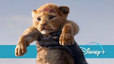 bild aus der news Nach "Mufasa": Neues "König der Löwen"-Abenteuer angeblich in Arbeit – kommt jetzt die Geschichte von Kiara & Kovu ins Kino?