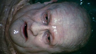 bild aus der news Quentin Tarantino feiert "Next Of Kin"