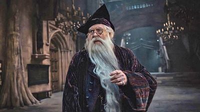 bild aus der news Dieser Fanliebling aus den "Harry Potter"-Büchern war in keinem (!) der Filme zu sehen: Nun spielt ihn ein Marvel-Star in der kommenden Serie