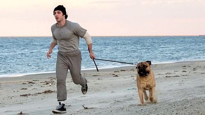 bild aus der news Der nächste Trailer zum neuen "Rocky"-Film ist da: So fing für Sylvester Stallone einst alles an