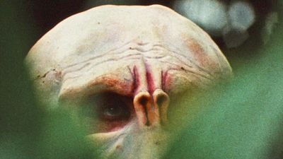 bild aus der news Uncut-Sensation: Legendärer Horror-Splatter von "Herr der Ringe"-Macher Peter Jackson steht nicht mehr auf dem Index