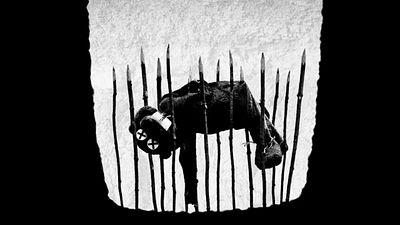 bild aus der news Wie ein Indie-Hit die Grenzen des Kinos sprengt: Das große FILMSTARTS-Interview zum Kultfilm des Jahres – "Hundreds Of Beavers"!