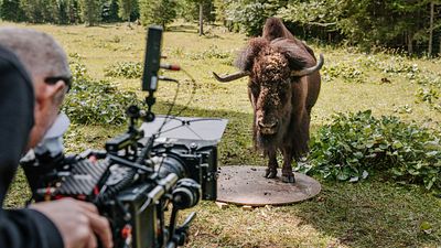 bild aus der news Mit der futuristischen Schurken-Karre ans Set von "Woodwalkers": FILMSTARTS besucht die Dreharbeiten zum Fantasy-Großprojekt