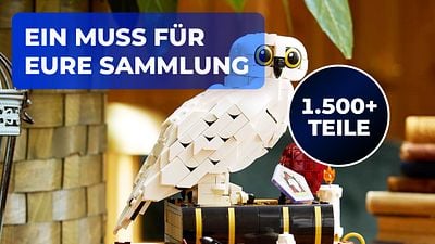 bild aus der news "Harry Potter"-Fieber wieder aufgeflammt? Dieses LEGO-Set feiert den Stein der Weisen