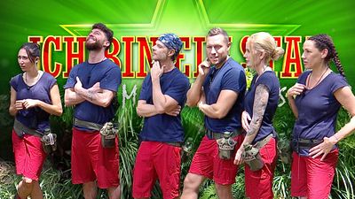 bild aus der news Dschungelcamp-Fans haben entschieden: Dieser Promi musste die Show an Tag 9 verlassen