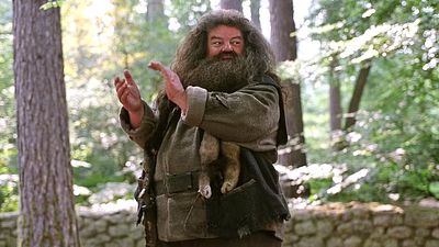 bild aus der news Neuer Hagrid für die "Harry Potter"-Serie gefunden: Dieser Kult-Komiker soll den Fanliebling spielen