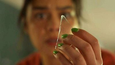 bild aus der news Hollywoods fieseste Horror-Splatter-Reihe wird noch einmal fortgesetzt: Der Regisseur für "Final Destination 7" ist gefunden!