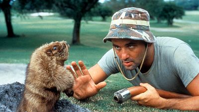 bild aus der news Nach "Barbie" und "The LEGO Movie" kommt jetzt die nächste Spielzeug-Verfilmung – hier werden unschuldige Tiere verkloppt