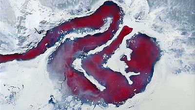 bild aus der news Ein Muss für Fans von wendungsreichen Thrillern: Starbesetzte Serienkillerjagd erscheint erstmals in 4K