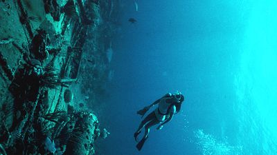 bild aus der news Dieses aufwändige Unterwasser-Abenteuer hat "Star Wars" vom Kino-Thron gestoßen: Die Dreharbeiten dauerten 151 Tage