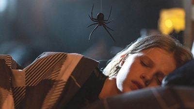 Sie wird jeden Tag größer: Trailer zum fies-ekligen Spinnen-Horror "Sting" vom "Wyrmwood"-Mastermind