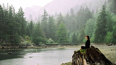 bild aus der news Der Regisseur eines der größten Marvel-Flops erklärt sein Scheitern: "Wir hatten nicht die Zeit, ‚Spider-Man‘ zu machen"