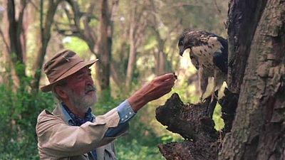 bild aus der news Obwohl eine absolute Hollywood-Legende darin ihren letzten Auftritt hatte: Diesen Film kennt so gut wie niemand!