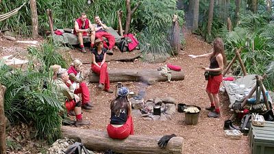 bild aus der news An Tag 11 im Dschungelcamp muss kein Promi gehen: Das ist der Grund
