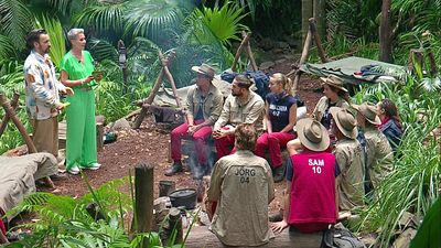 bild aus der news Dschungelcamp an Tag 11: Warum heute niemand das Camp verlassen muss