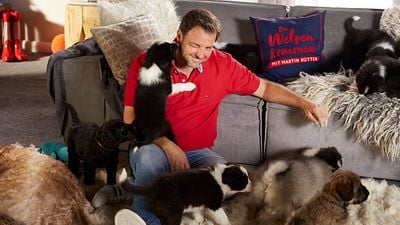 bild aus der news Letztes Jahr noch auf RTL: Staffelstart von dieser Tiershow floppt schon mit der ersten Folge