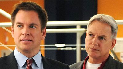 bild aus der news "NCIS"-Star Michael Weatherly: So landete seine wahre Geschichte in der Hit-Serie!
