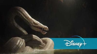 bild aus der news Schon bald bei Disney+: Mit diesem Blockbuster kehrte eine der legendärsten Filmreihen nach 7 (!) Jahren ins Kino zurück